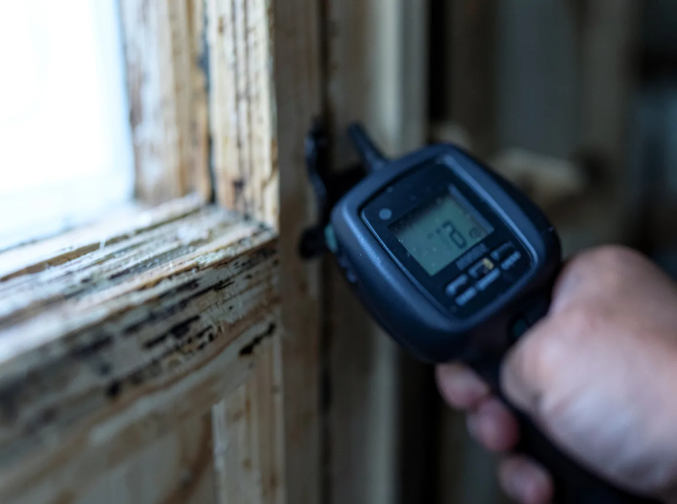 Moisture Inspection And Documentation in Myerstown, PA